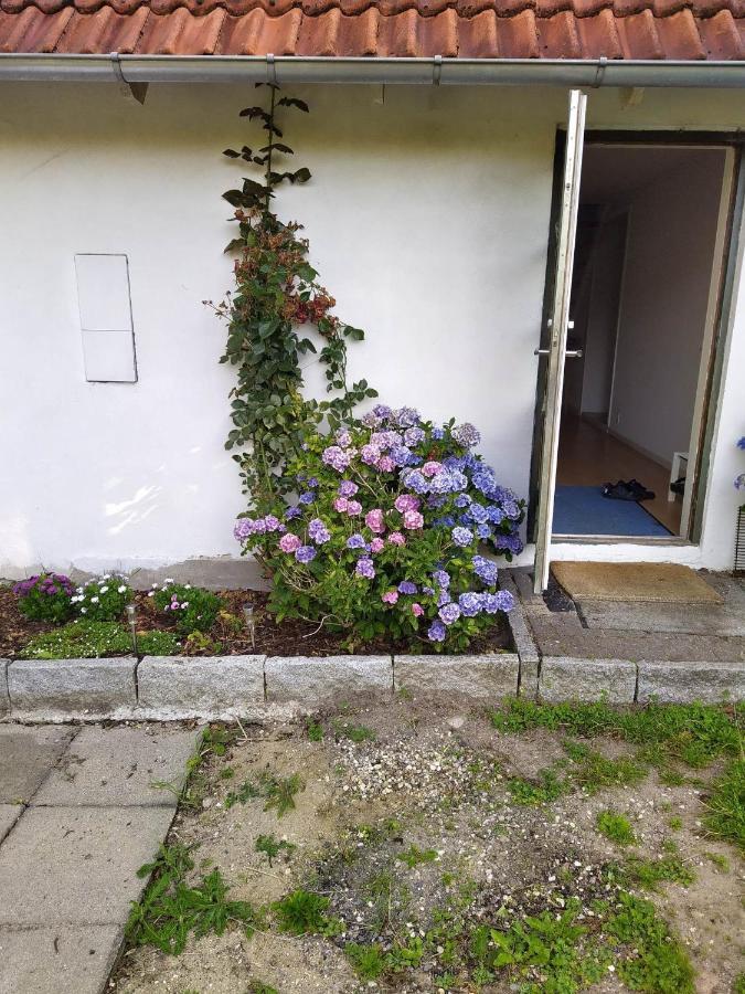Skovhusets B&B I Gislev מראה חיצוני תמונה